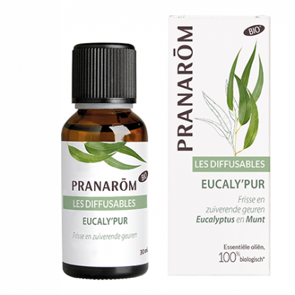 Pranarom Eucalyptus